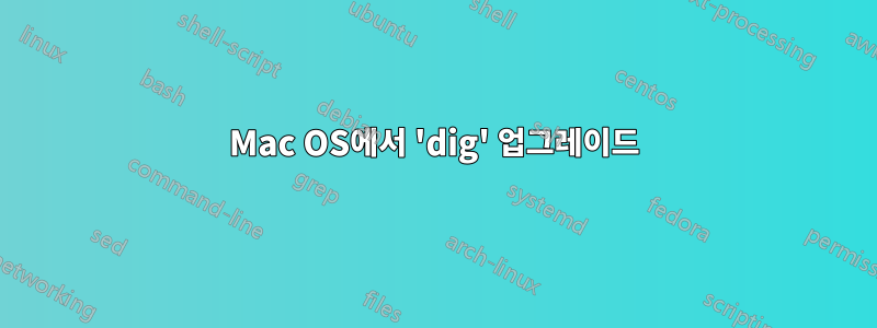 Mac OS에서 'dig' 업그레이드