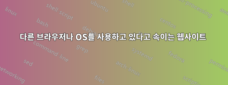 다른 브라우저나 OS를 사용하고 있다고 속이는 웹사이트