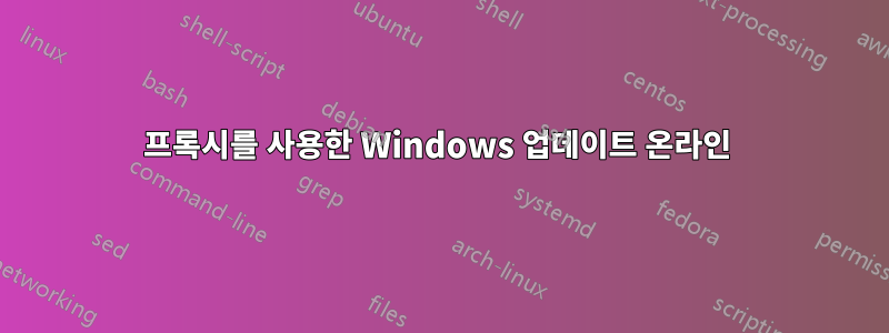 프록시를 사용한 Windows 업데이트 온라인 