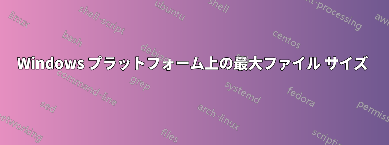 Windows プラットフォーム上の最大ファイル サイズ