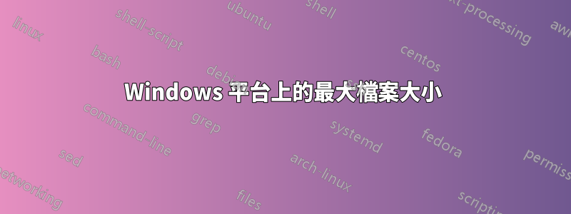 Windows 平台上的最大檔案大小