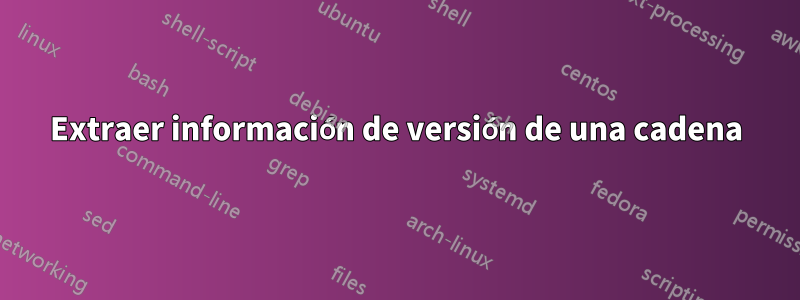Extraer información de versión de una cadena