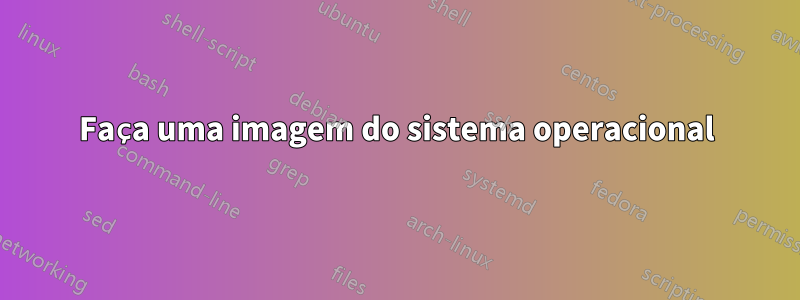 Faça uma imagem do sistema operacional