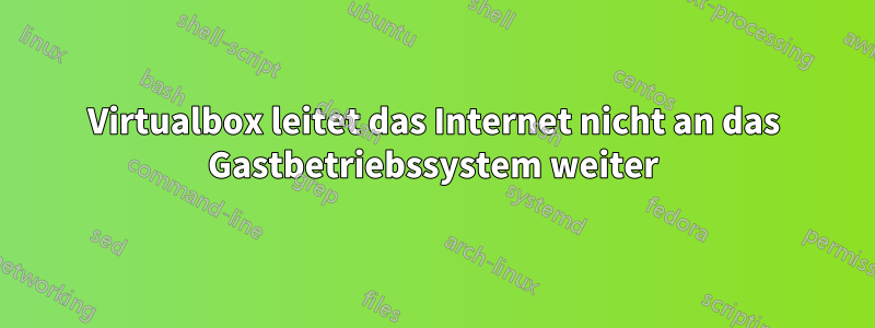 Virtualbox leitet das Internet nicht an das Gastbetriebssystem weiter
