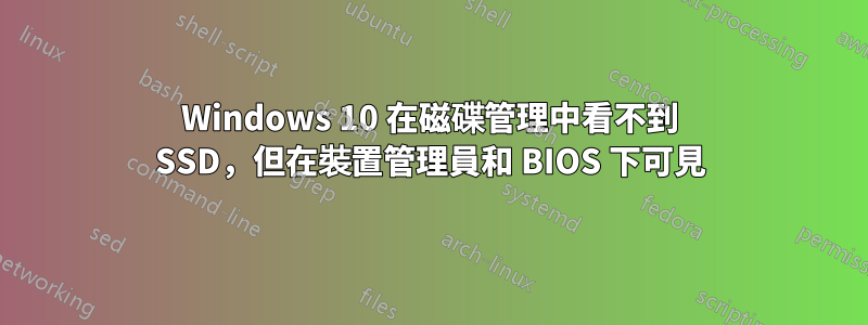 Windows 10 在磁碟管理中看不到 SSD，但在裝置管理員和 BIOS 下可見