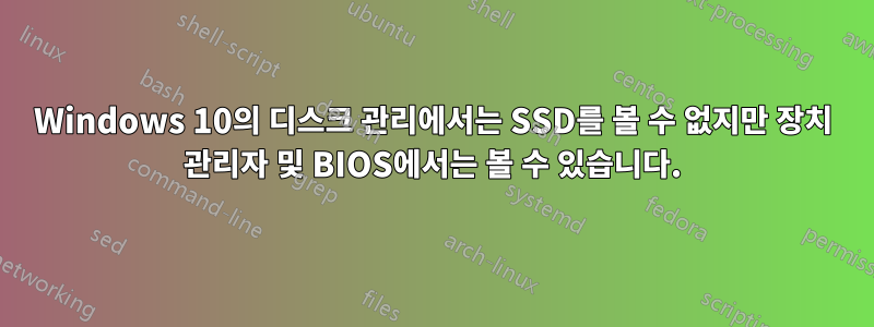 Windows 10의 디스크 관리에서는 SSD를 볼 수 없지만 장치 관리자 및 BIOS에서는 볼 수 있습니다.