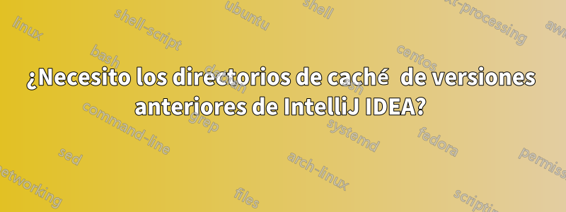 ¿Necesito los directorios de caché de versiones anteriores de IntelliJ IDEA?