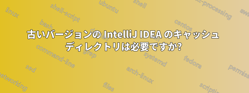 古いバージョンの IntelliJ IDEA のキャッシュ ディレクトリは必要ですか?