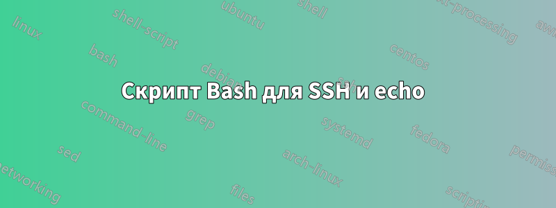 Скрипт Bash для SSH и echo 
