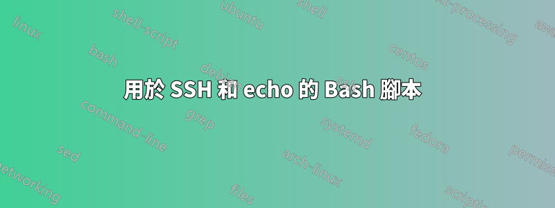 用於 SSH 和 echo 的 Bash 腳本 