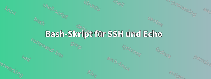 Bash-Skript für SSH und Echo 