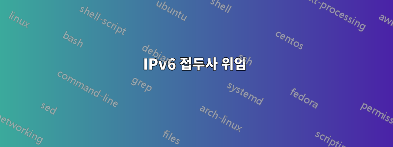 IPv6 접두사 위임