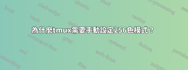 為什麼tmux需要手動設定256色模式？