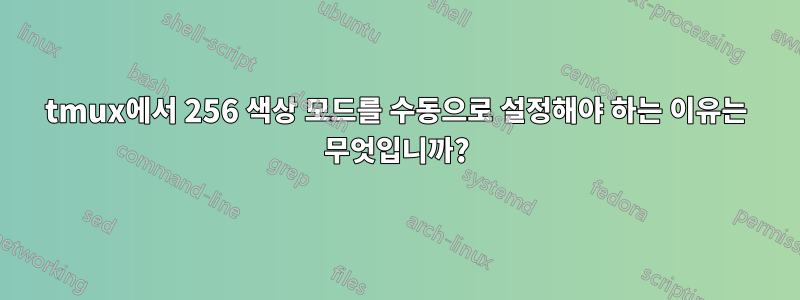 tmux에서 256 색상 모드를 수동으로 설정해야 하는 이유는 무엇입니까?