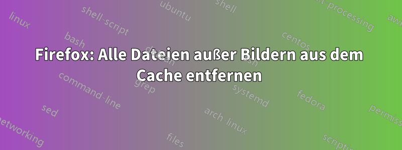 Firefox: Alle Dateien außer Bildern aus dem Cache entfernen