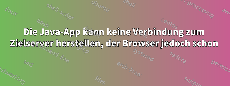 Die Java-App kann keine Verbindung zum Zielserver herstellen, der Browser jedoch schon