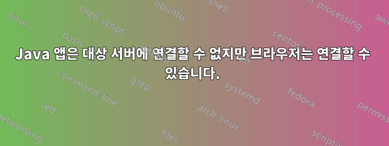 Java 앱은 대상 서버에 연결할 수 없지만 브라우저는 연결할 수 있습니다.