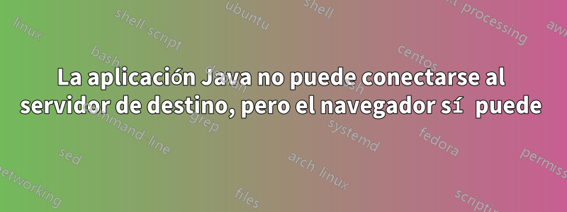 La aplicación Java no puede conectarse al servidor de destino, pero el navegador sí puede