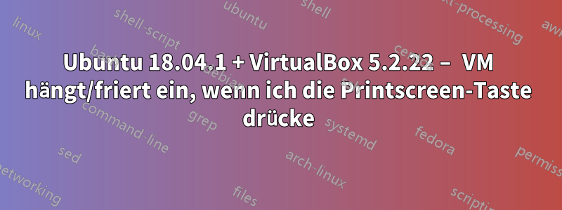 Ubuntu 18.04.1 + VirtualBox 5.2.22 – VM hängt/friert ein, wenn ich die Printscreen-Taste drücke