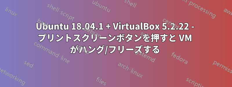 Ubuntu 18.04.1 + VirtualBox 5.2.22 - プリントスクリーンボタンを押すと VM がハング/フリーズする