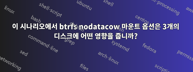 이 시나리오에서 btrfs nodatacow 마운트 옵션은 3개의 디스크에 어떤 영향을 줍니까?