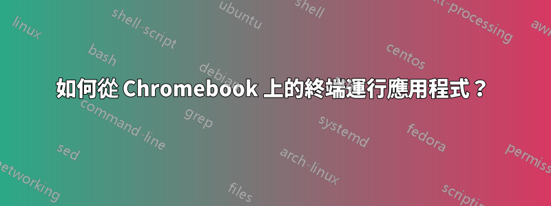 如何從 Chromebook 上的終端​​運行應用程式？