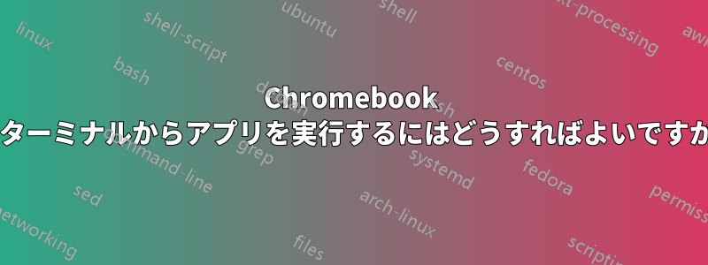Chromebook のターミナルからアプリを実行するにはどうすればよいですか?