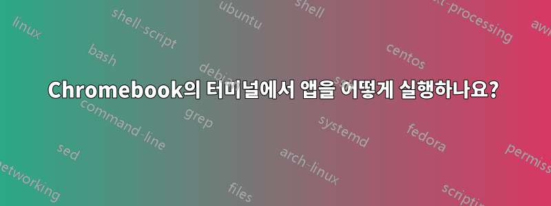 Chromebook의 터미널에서 앱을 어떻게 실행하나요?