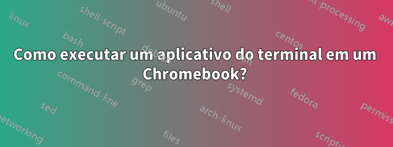 Como executar um aplicativo do terminal em um Chromebook?