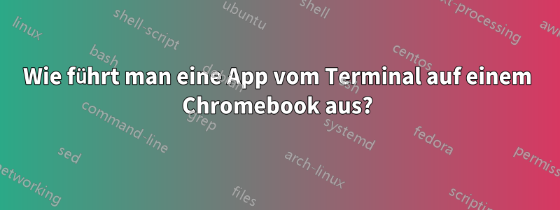 Wie führt man eine App vom Terminal auf einem Chromebook aus?