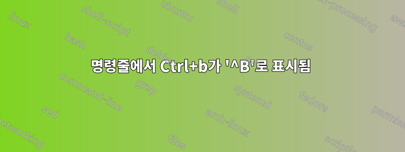 명령줄에서 Ctrl+b가 '^B'로 표시됨
