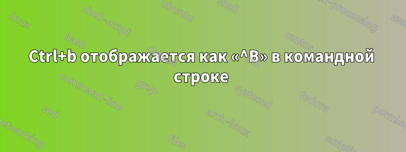 Ctrl+b отображается как «^B» в командной строке