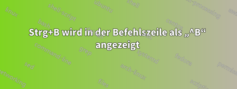 Strg+B wird in der Befehlszeile als „^B“ angezeigt