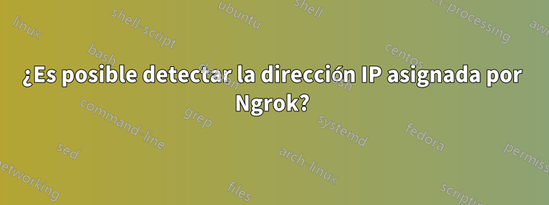 ¿Es posible detectar la dirección IP asignada por Ngrok?