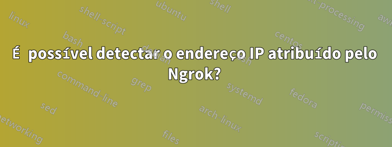 É possível detectar o endereço IP atribuído pelo Ngrok?