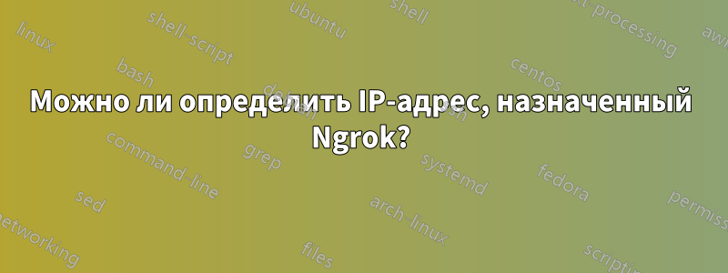 Можно ли определить IP-адрес, назначенный Ngrok?