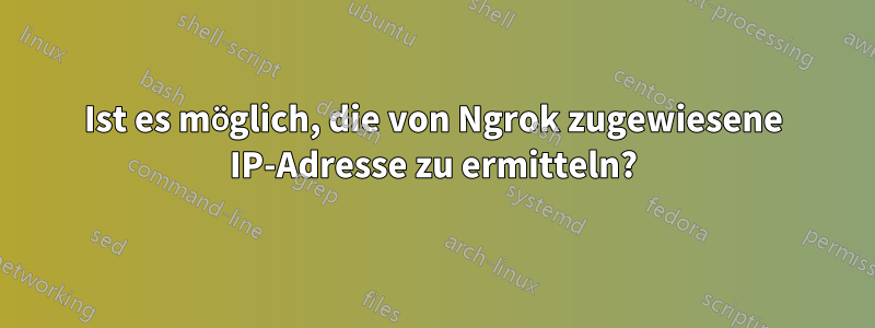Ist es möglich, die von Ngrok zugewiesene IP-Adresse zu ermitteln?