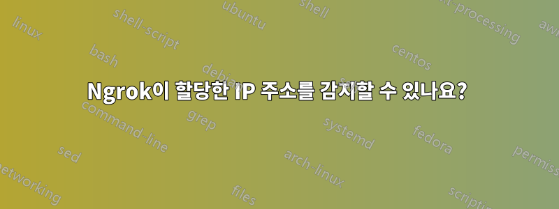 Ngrok이 할당한 IP 주소를 감지할 수 있나요?