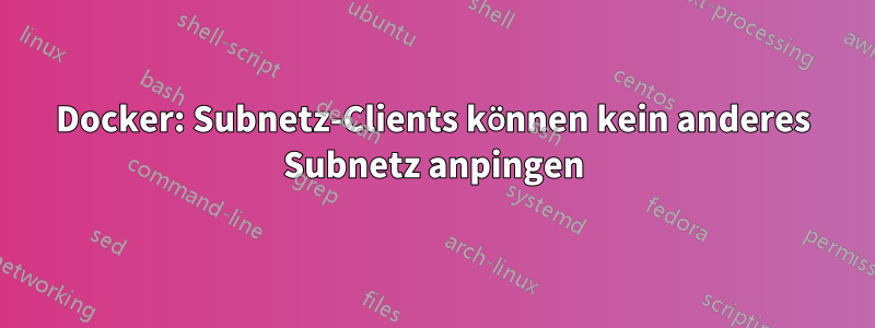 Docker: Subnetz-Clients können kein anderes Subnetz anpingen