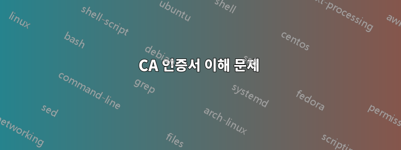 CA 인증서 이해 문제