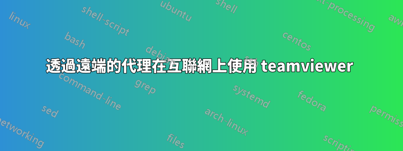 透過遠端的代理在互聯網上使用 teamviewer