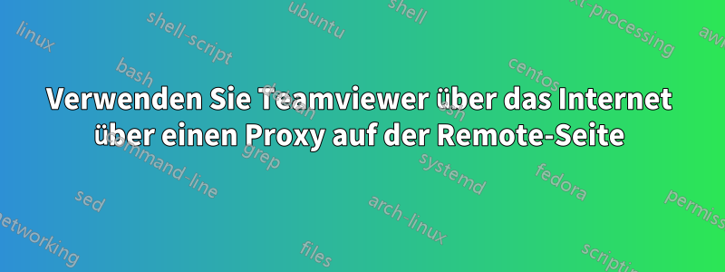 Verwenden Sie Teamviewer über das Internet über einen Proxy auf der Remote-Seite