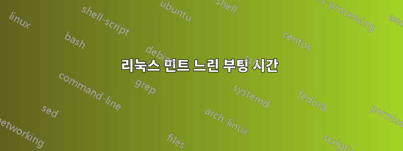 리눅스 민트 느린 부팅 시간