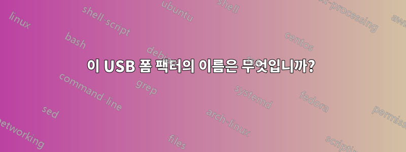 이 USB 폼 팩터의 이름은 무엇입니까?