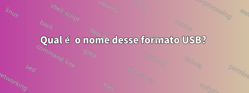 Qual é o nome desse formato USB?