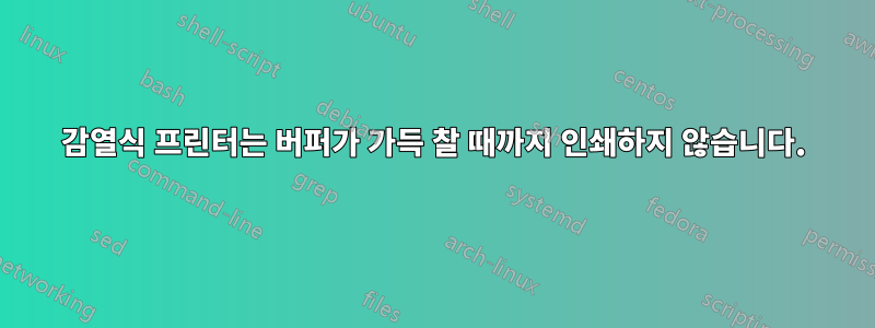 감열식 프린터는 버퍼가 가득 찰 때까지 인쇄하지 않습니다.