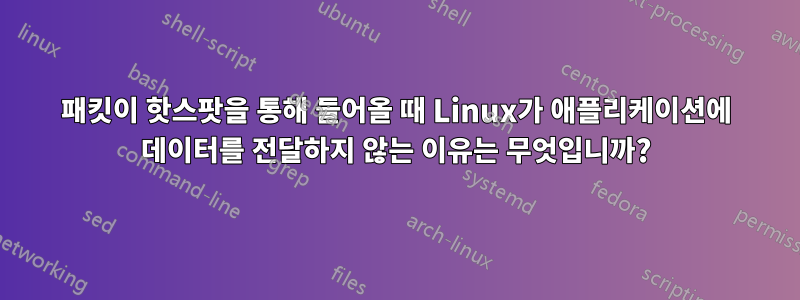 패킷이 핫스팟을 통해 들어올 때 Linux가 애플리케이션에 데이터를 전달하지 않는 이유는 무엇입니까?