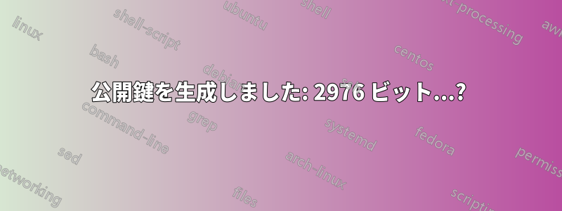 公開鍵を生成しました: 2976 ビット...?