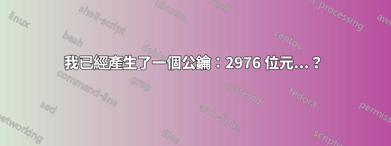 我已經產生了一個公鑰：2976 位元...？