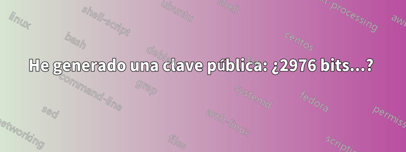 He generado una clave pública: ¿2976 bits...?